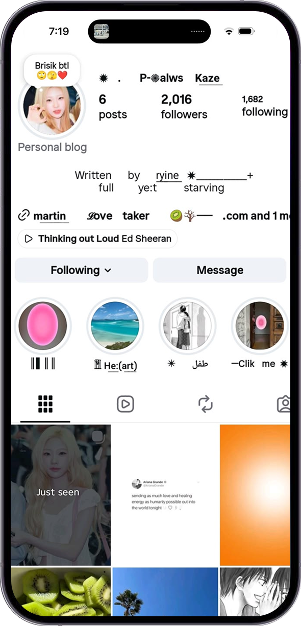 Instagram Story Showcase